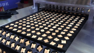 Hallo Panda Biscuit Making Machine Kinder Keksherstellung Maschine