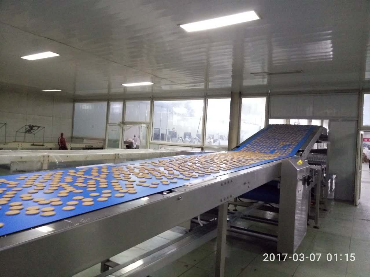 Übergangsförderer Keksherstellung Maschine